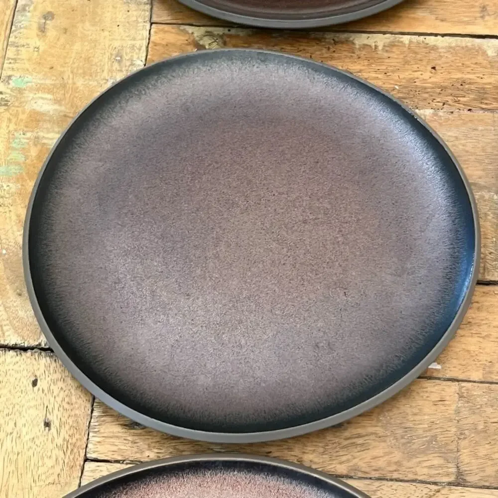 Rosenthal Junto Stoneware Lunch Plates Set 8